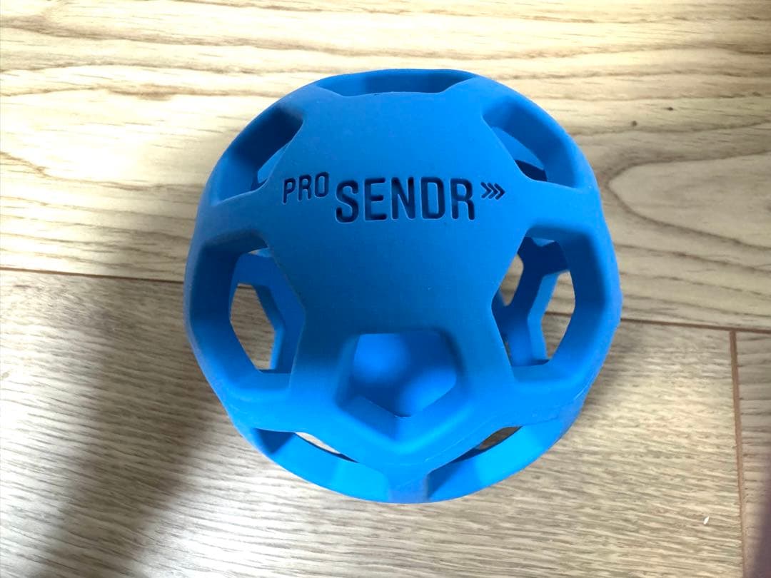 PRO SENDR ゴルフ練習器具 プロセンダー 右利き用