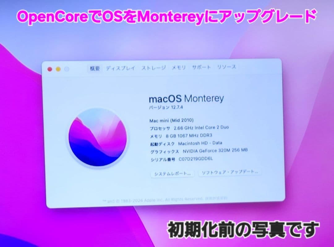 Macデスクトップ Mac mini Mid2010