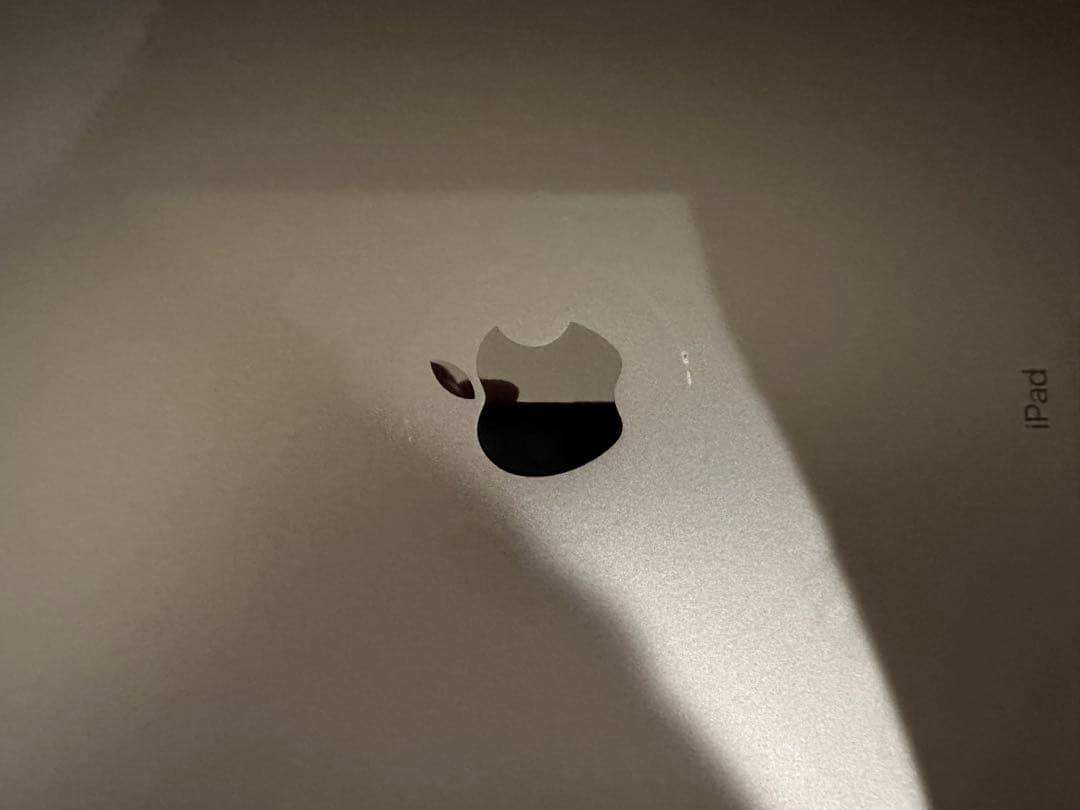 Apple iPad Pro (10.5インチ) 64G 本体　美品