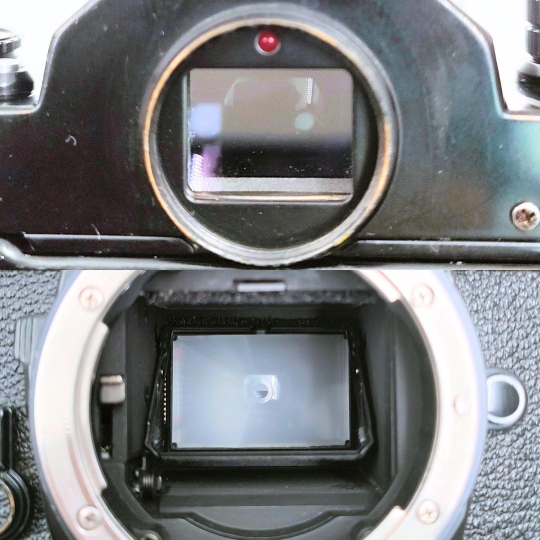 光学綺麗 Nikon FE / Ai改 Nikkor 50mm / 135mm