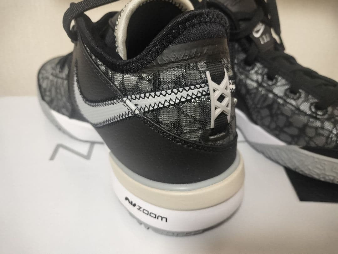 Nike 25.5cm レブロン NXXT Gen EP DR8788-005