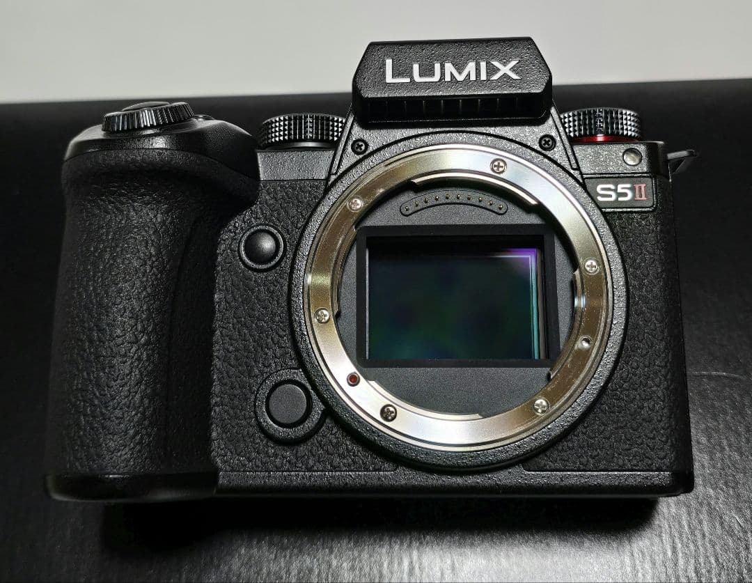 LUMIX DC-S5M2W ダブルレンズキット 【美品/低ショット1108回】