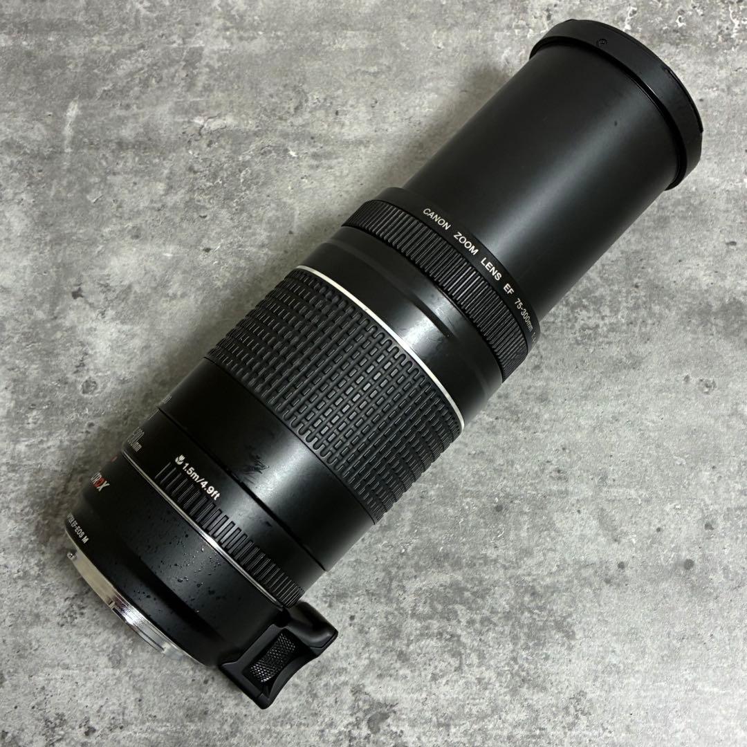 ⭐️美品⭐️Canon EF 75-300 III & EF-EOS M アダプター