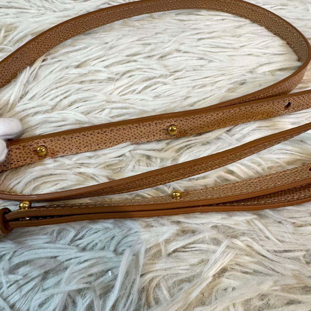 大人気✨セリーヌ バーティカルカバ スモール 2way レザー バイカラー