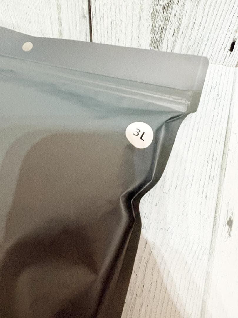 新品　アルファアイコン　スノードッグガード　3L　2024年モデル　ミント