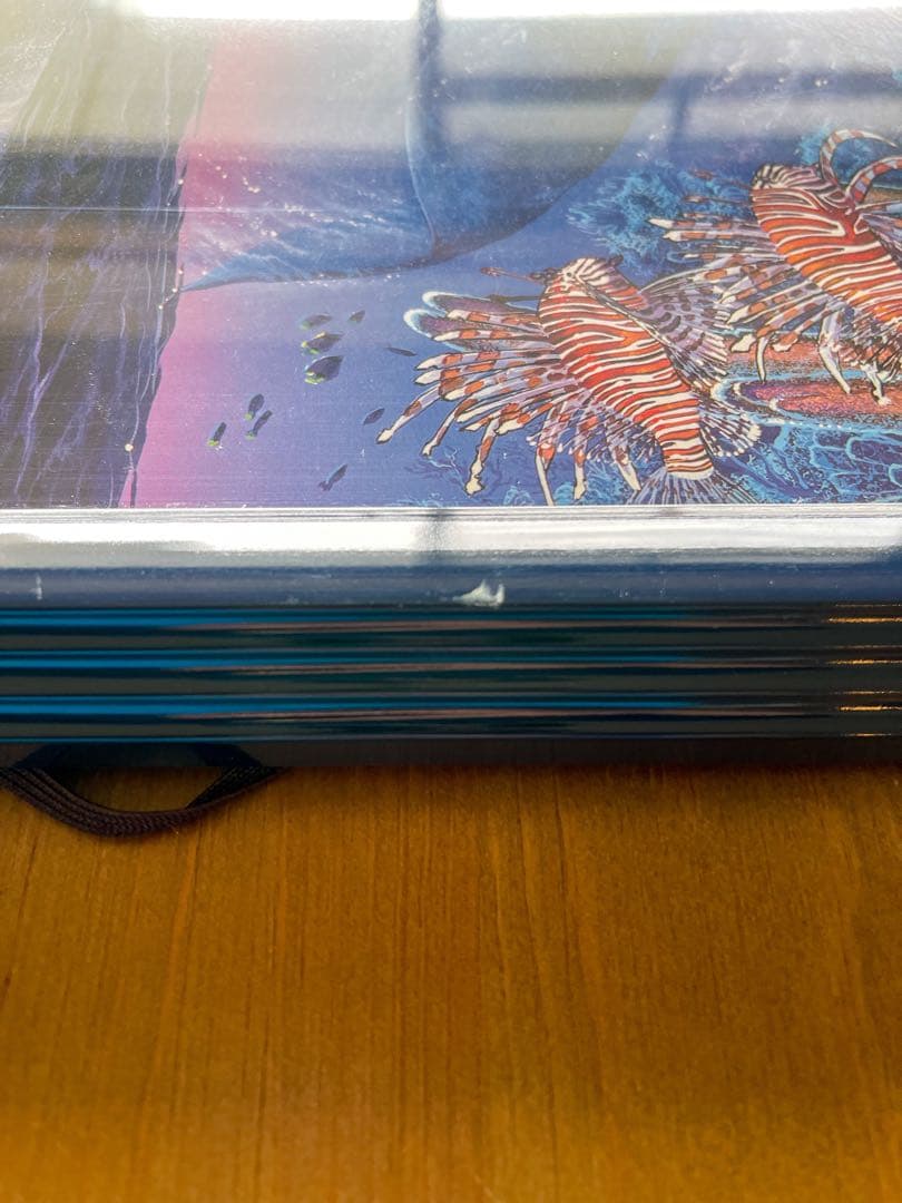 クリスチャン・リース・ラッセン ラハイナビジョン ポスター 額付き