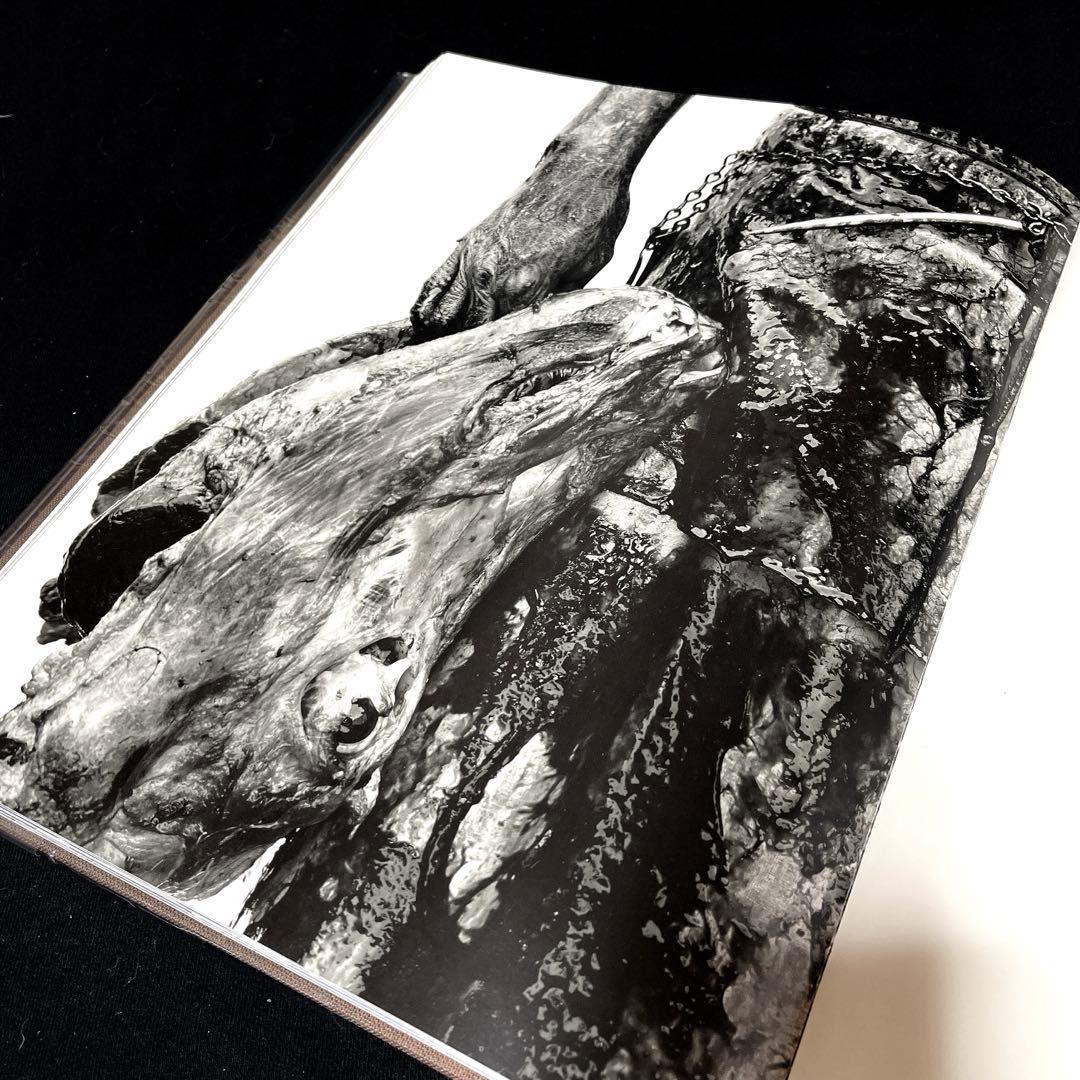 リチャード・アベドン RICHARD AVEDON AUTO-BIOGRAPHY