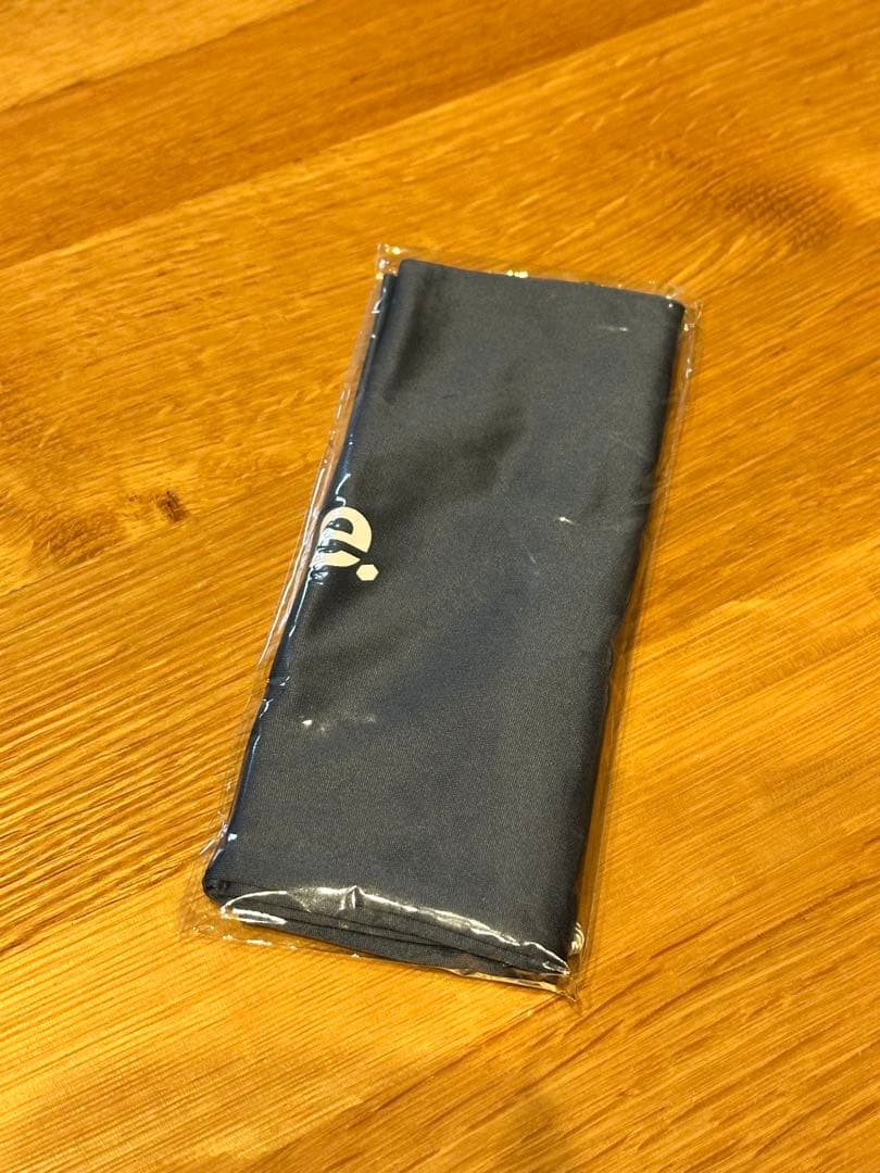 DICE 25-26　BANKダイス　バンク　ゴーグル