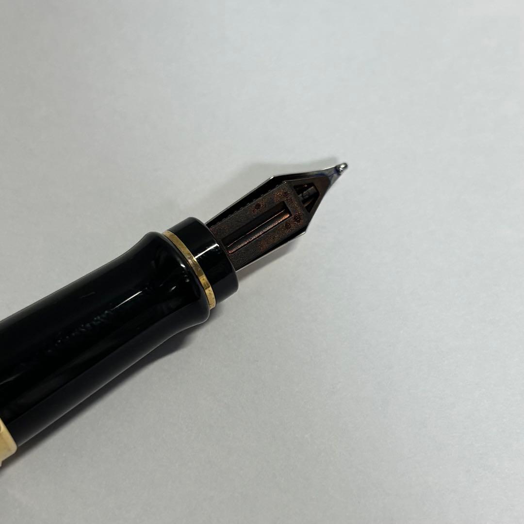 WATERMAN 万年筆 エキスパート エッセンシャル ブラックGT M（中字）