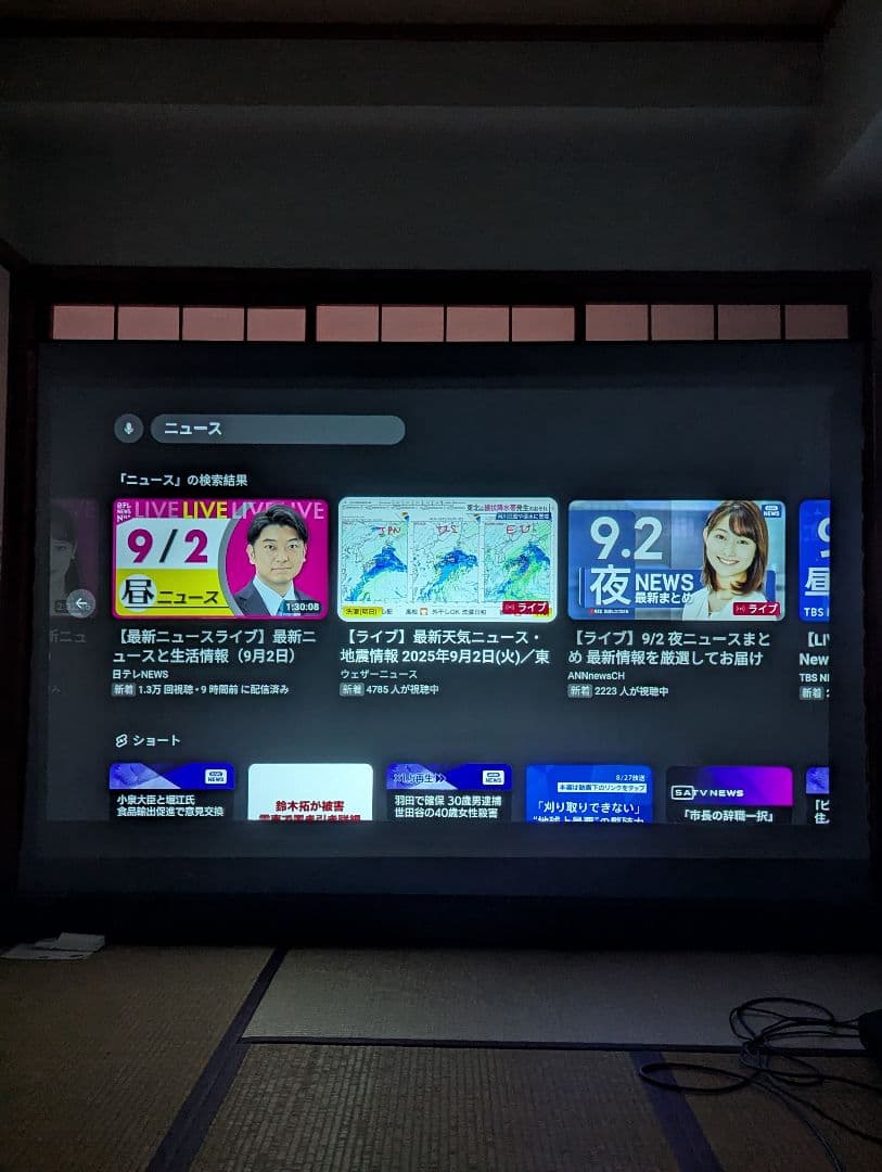 VIVID STORM SINCE 2004 100インチ