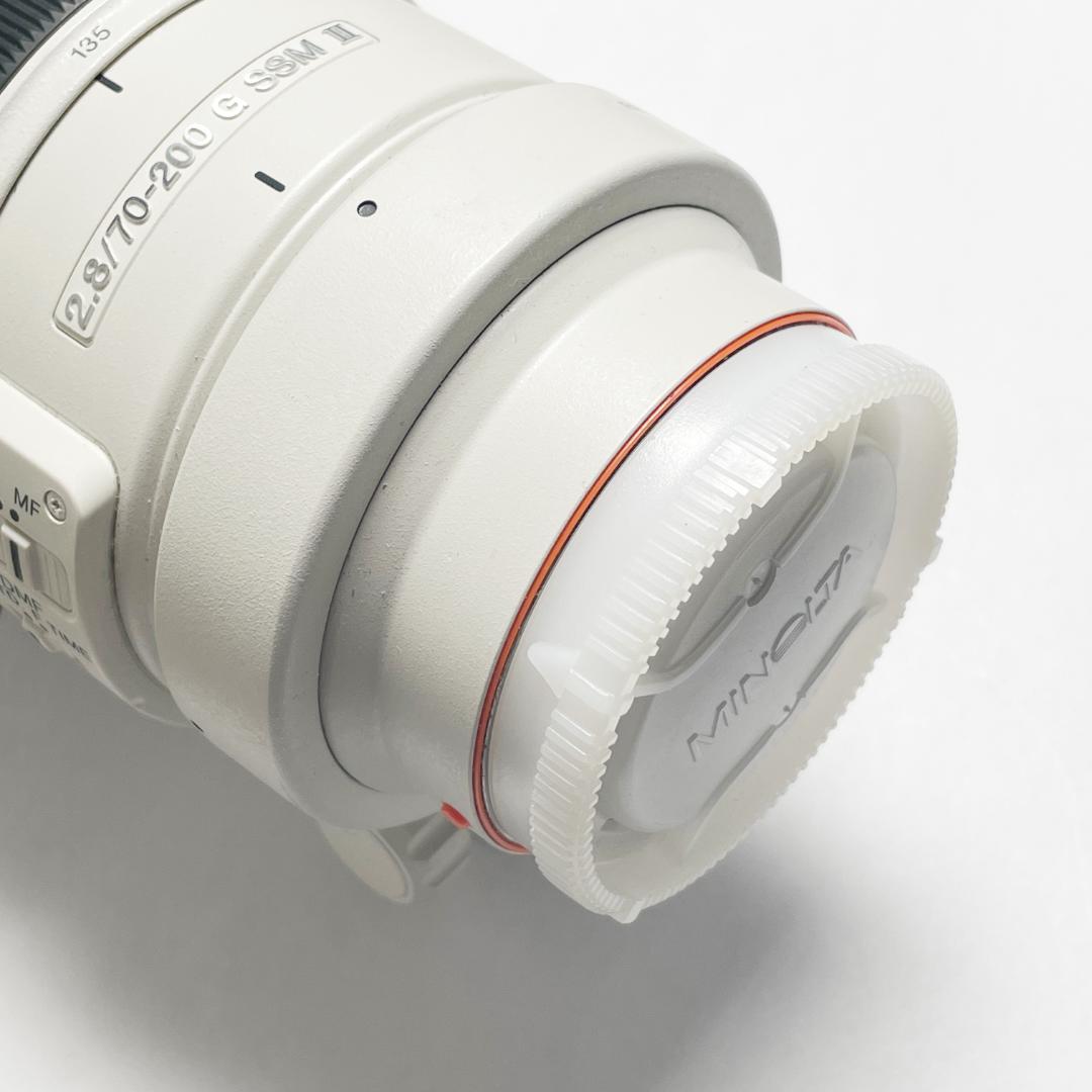 きれい ソニー 70-200mm F2.8 G SSM II