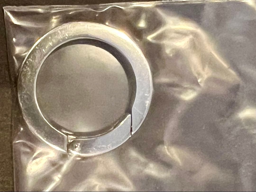 新品未使用　送料込み　ワイルドスワンズ カラビナキーリングS