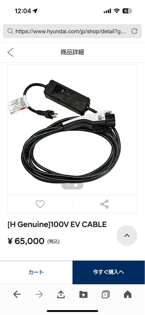 100V EV車　電気自動車 hyundai 充電器 100V 充電　ケーブル