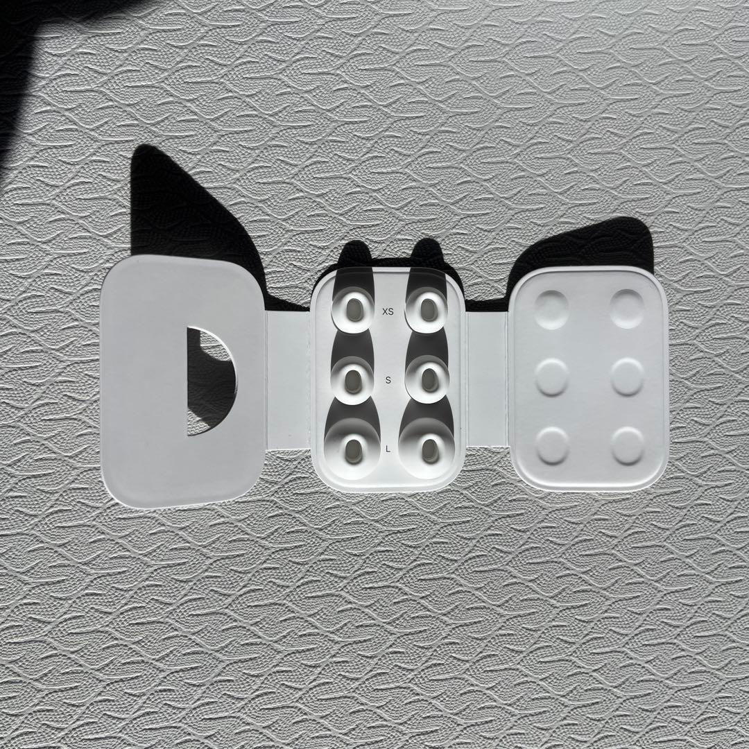 Apple AirPods Pro 第2世代 本体と付属品