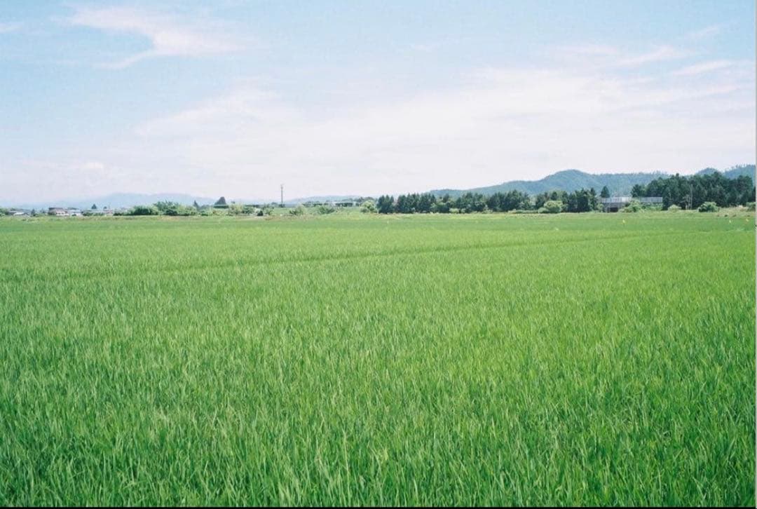 【完動品 美品】OLYMPUS μ【mju:】ZOOM 140 動作確認済