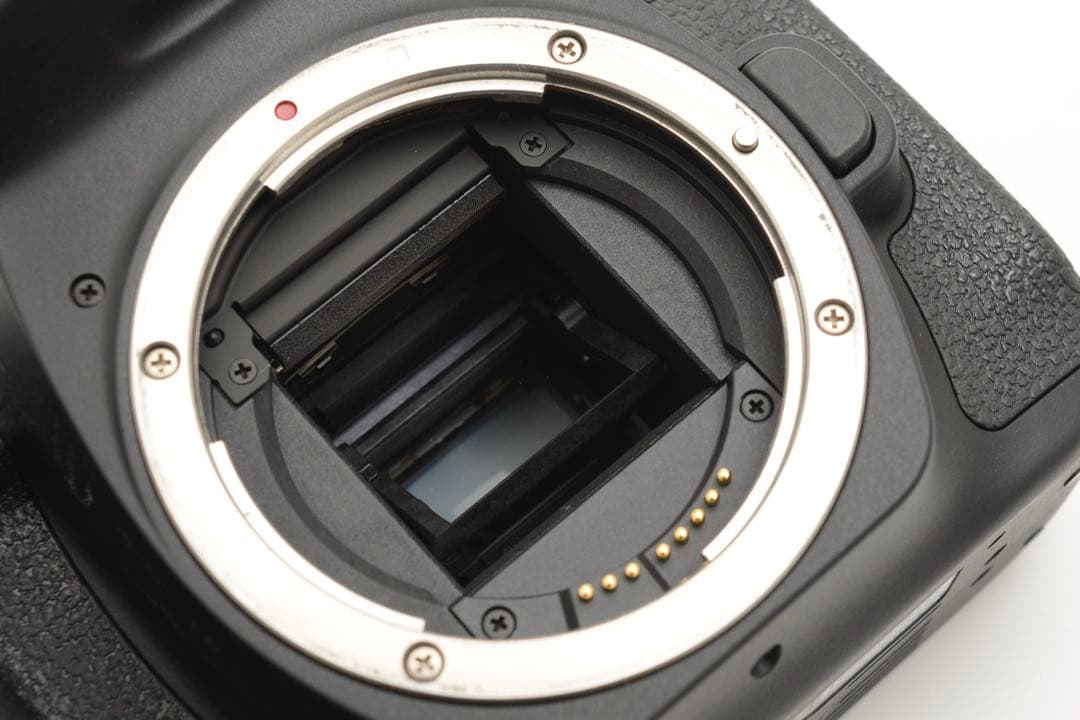 保証付き/Canon EOS 90D標準&望遠ダブルレンズセット