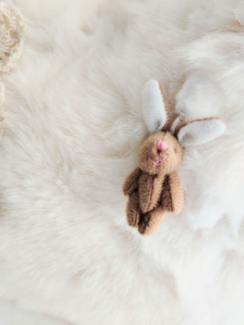 ベビー猫ちゃんのファーバッグ❤エキゾチック❤子猫ちゃん❤