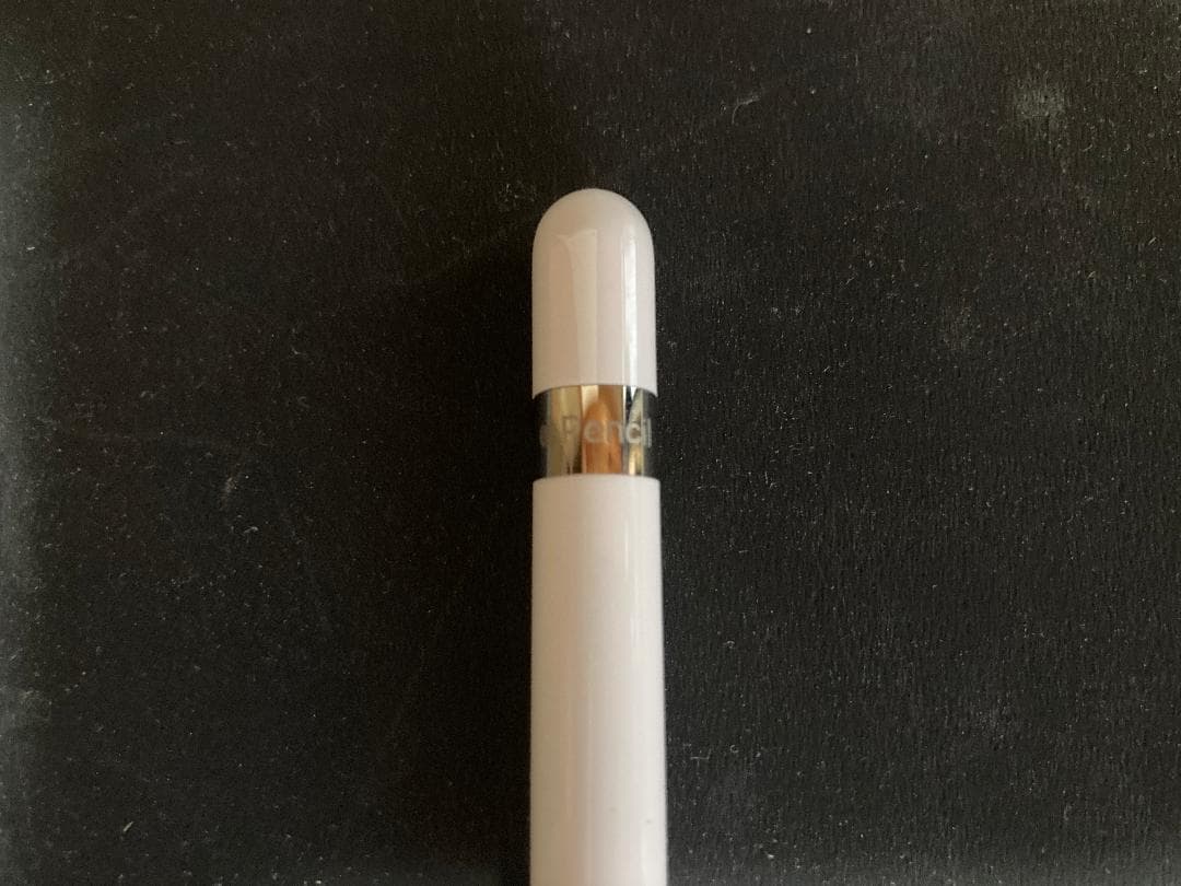 iPad mini 第5世代 64GB Cellular + 純正 pencil