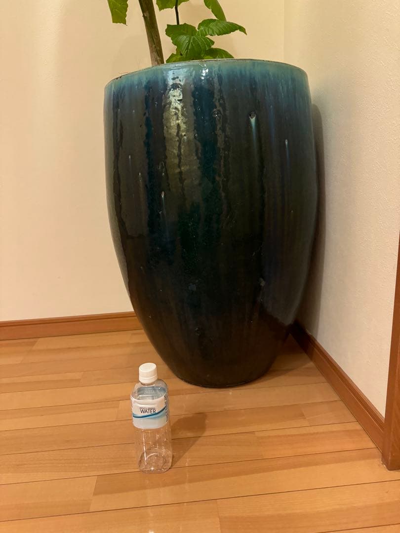 高級鉢