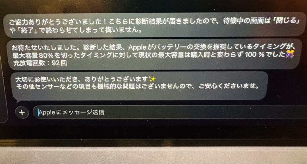 値下げ中　iPad Pro 12.9 Cellular 256GB 100%