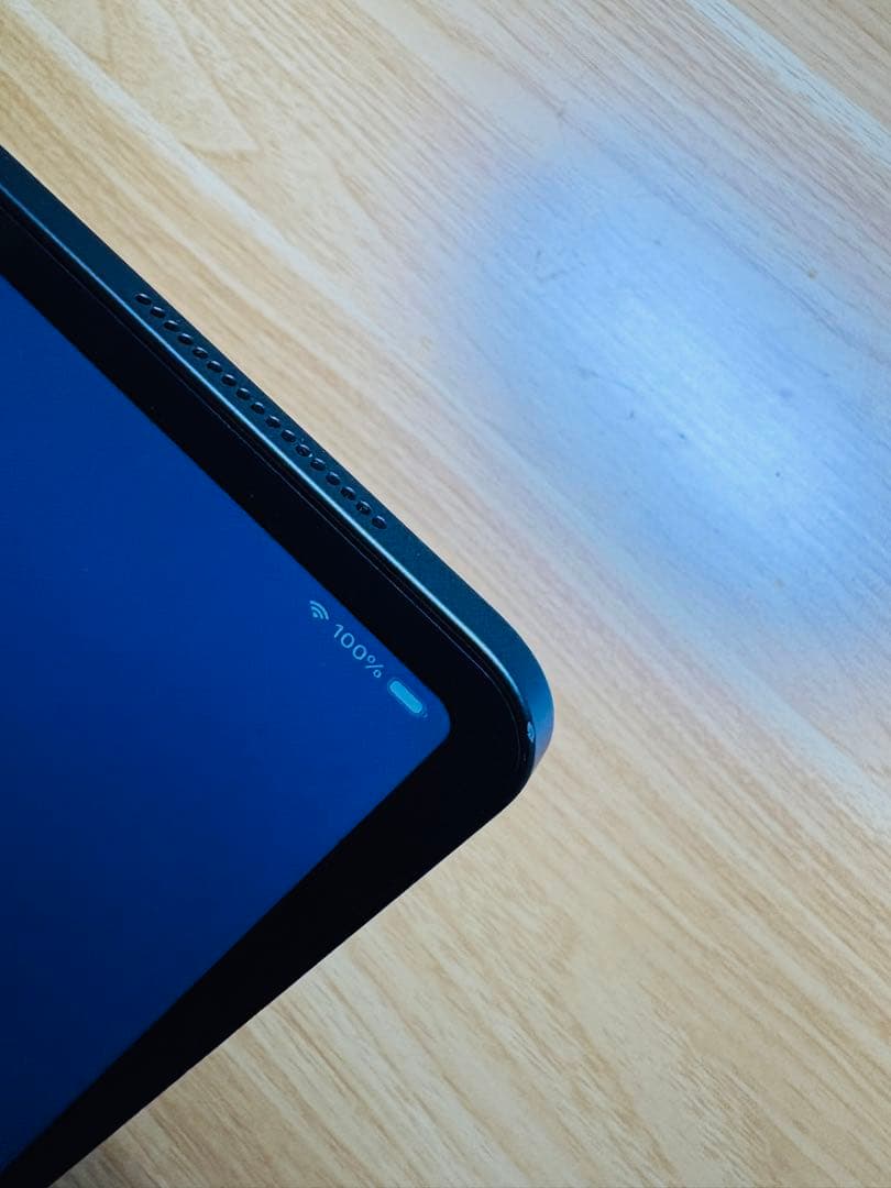 値下げ中　iPad Pro 12.9 Cellular 256GB 100%