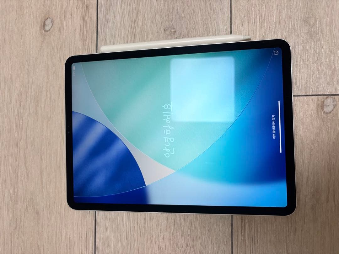 iPad Pro 11インチCellularモデル　Apple Pencil付き