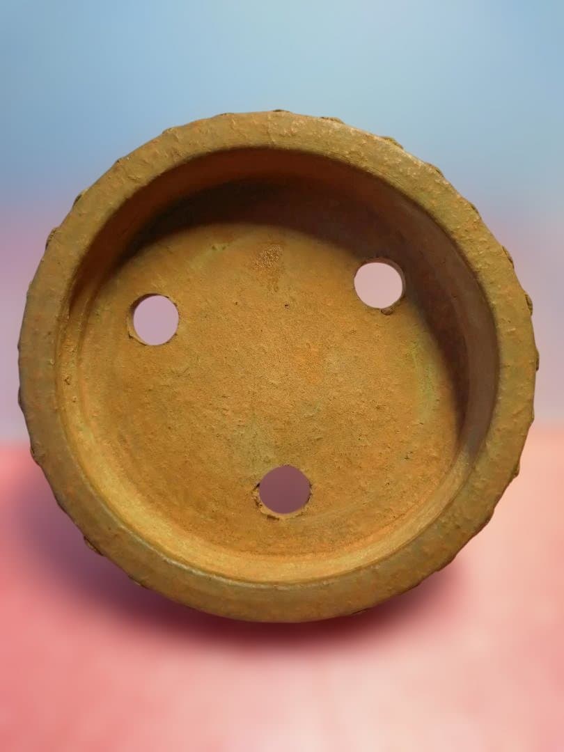 オレンジ色の陶器製盆栽鉢/ 舟山