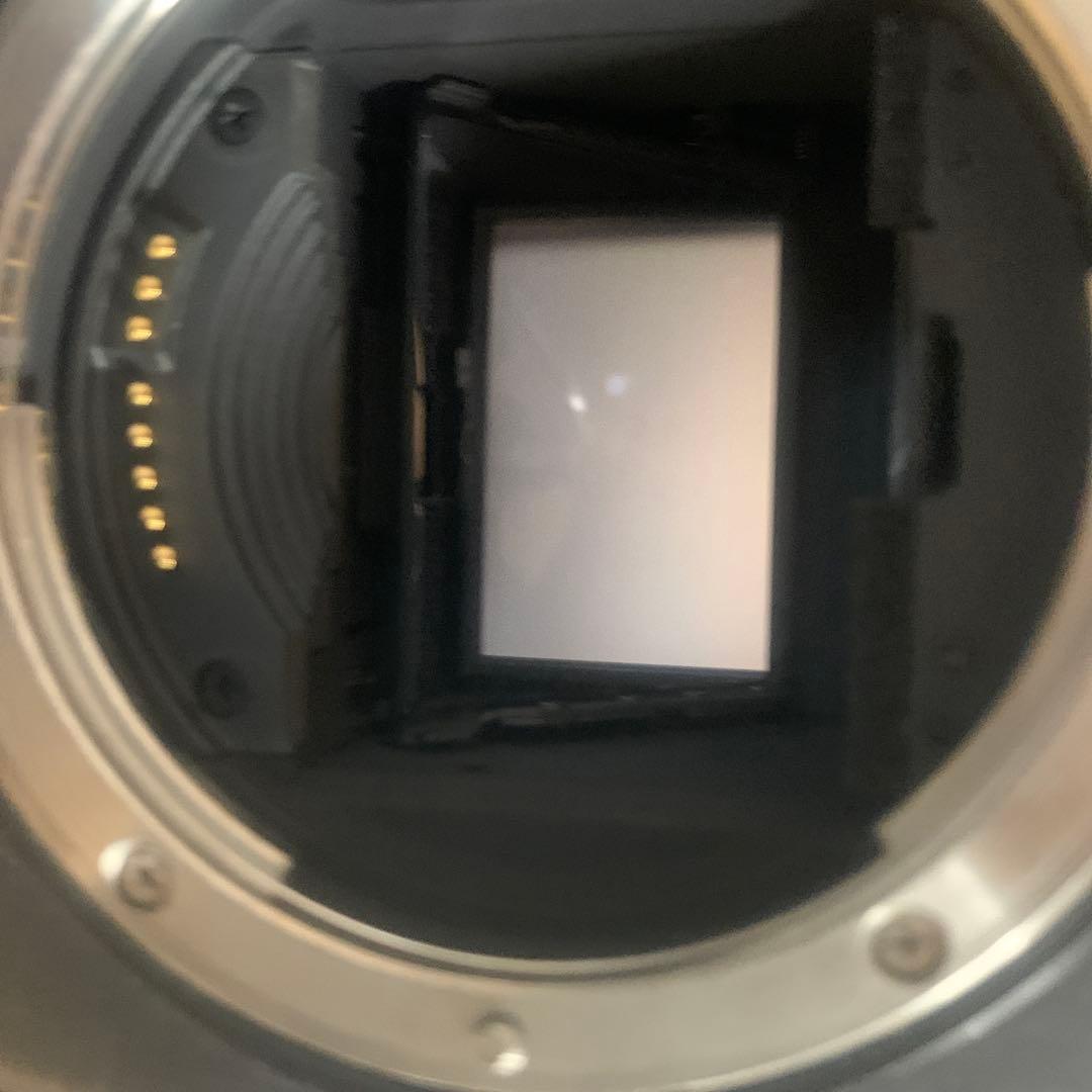 デジタルカメラ canon 1dx