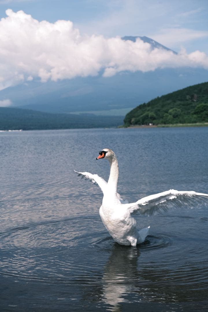 値下げ交渉可　FUJIFILM X-S10 / XF18-55mm フィルター付
