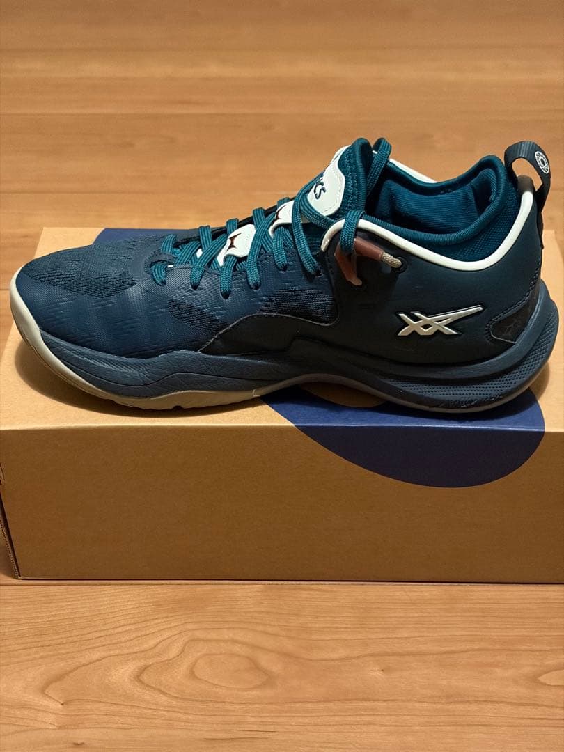 美品 ASICS NOVA SURGE LOW 2 バッシュ 26センチ