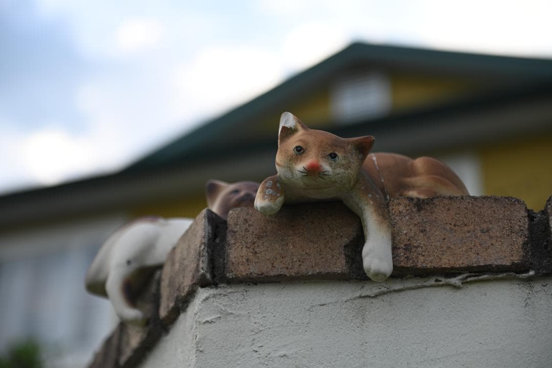 レンズ(ズーム) Nikon AF-S N NIKKOR 24-70mm F2.8G ED