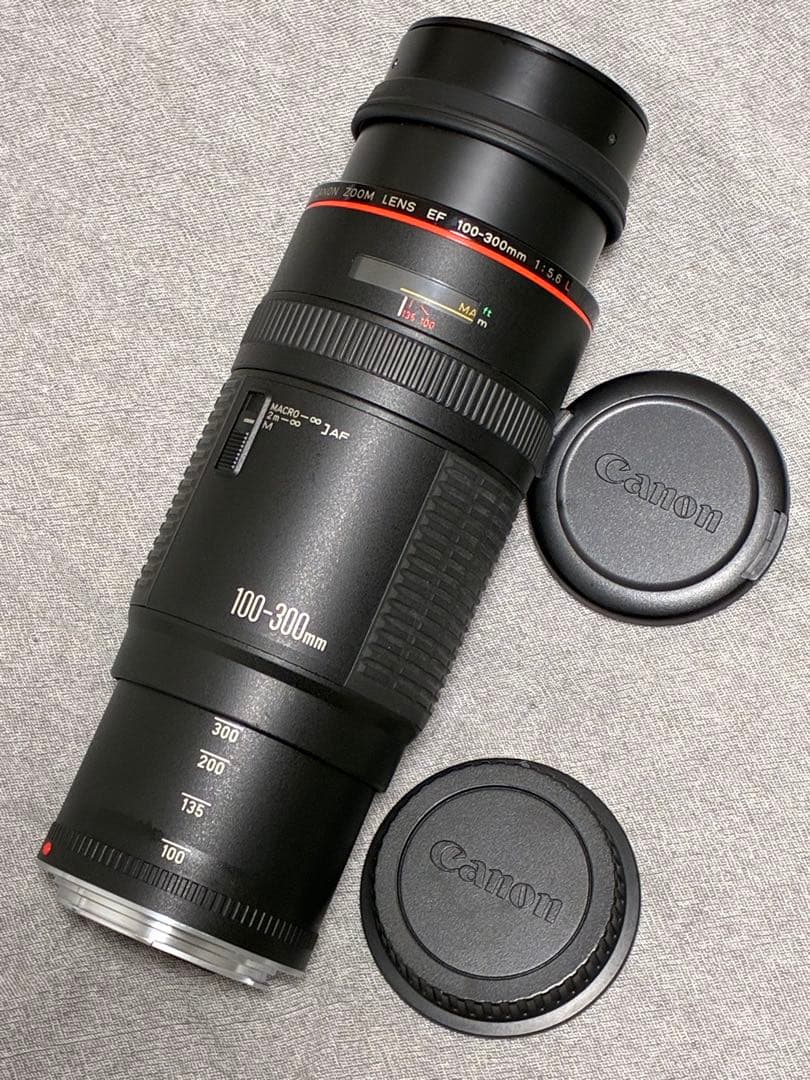 ⭐️美品⭐️キャノン Canon EF 100-300mm F5.6 L 望遠レンズ