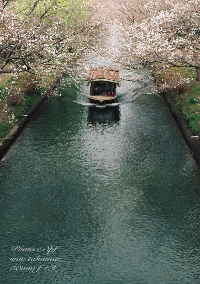 完動品＊美品＊pentax spf&名玉smc f1.4★作例多数！★初期保証