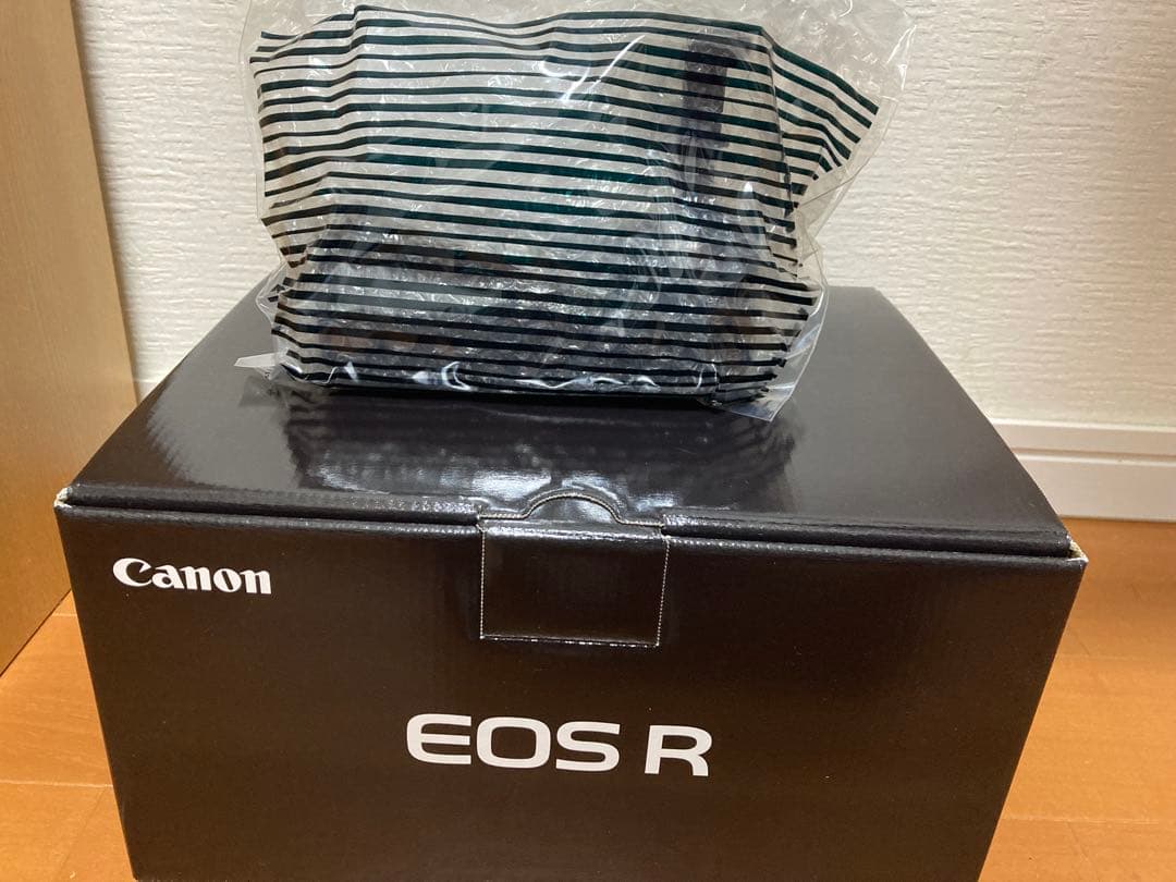 【即売希望特価】Canon EOS R+Canon BG-E22 (付属品付)