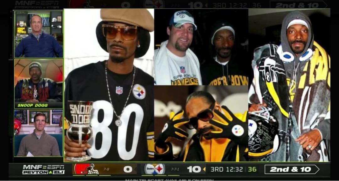 NFL スティーラーズ 皮ジャケット 限定販売品