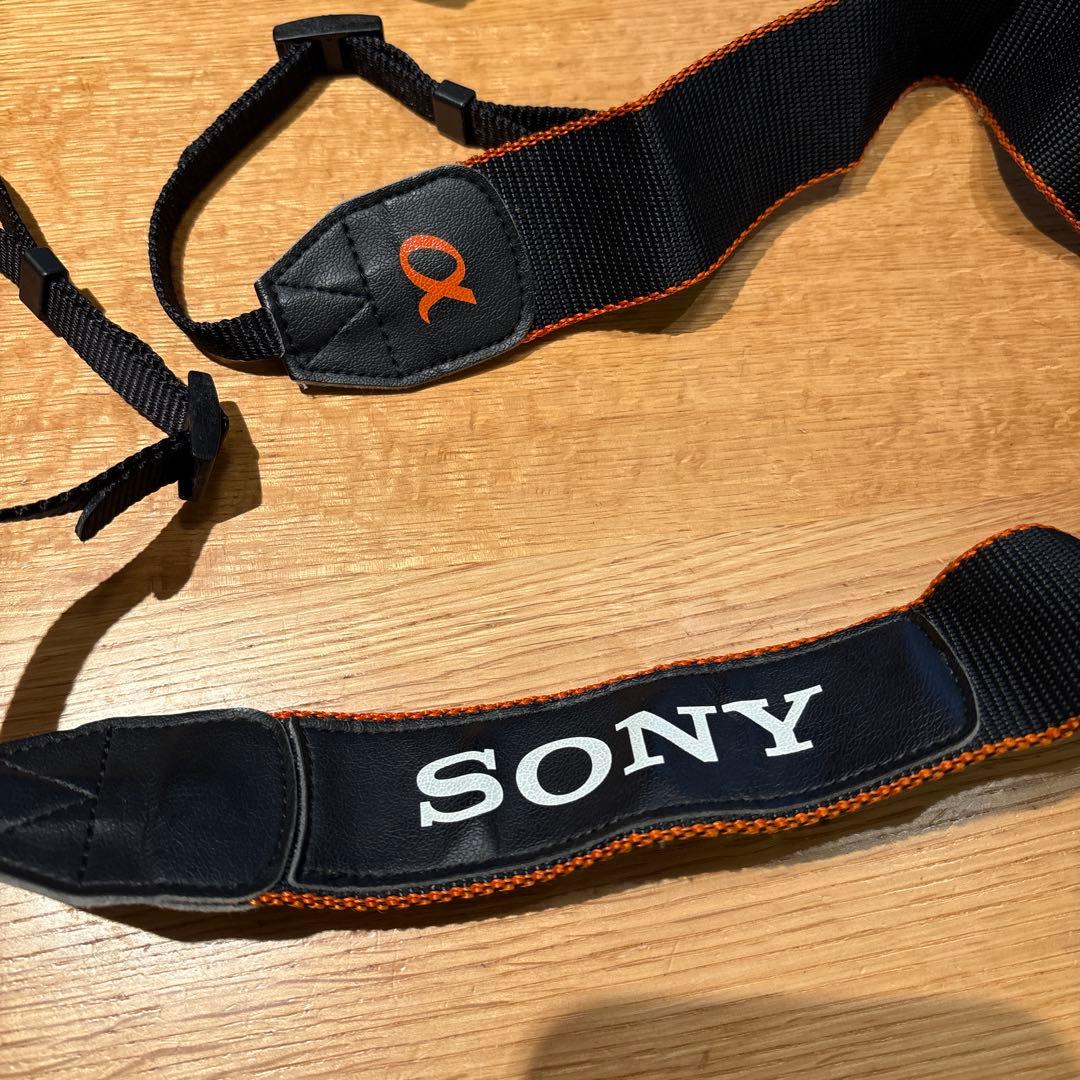 sony α300