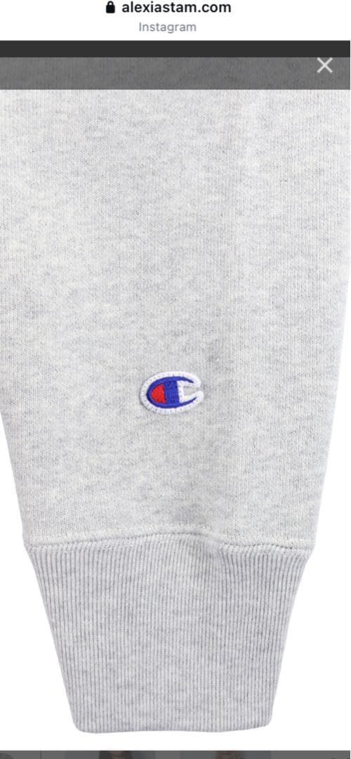 トップス champion for ALEXIA STAM Sweatshirt