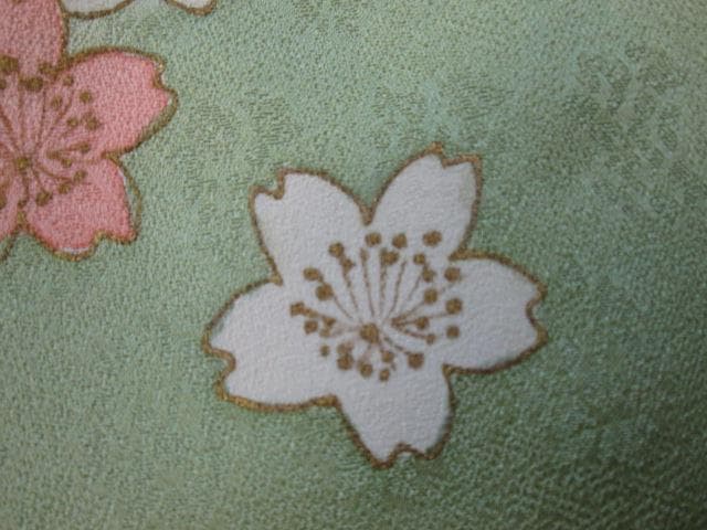 藤井寛 若草色豪華総柄桜紅葉藤 訪問着 比翼付き