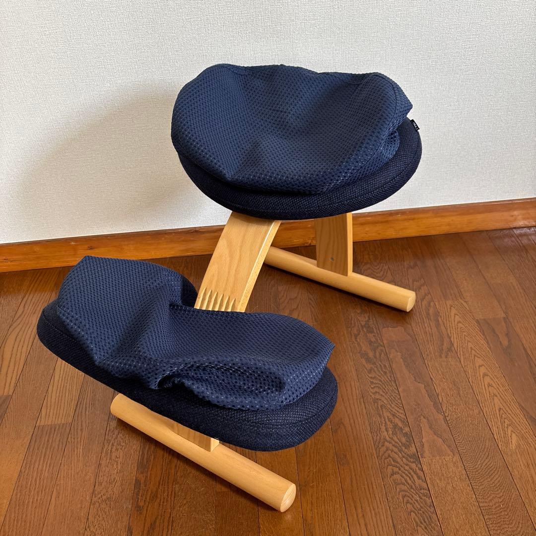 【美品】balans Easy バランスイージー ネイビー 通常フレーム