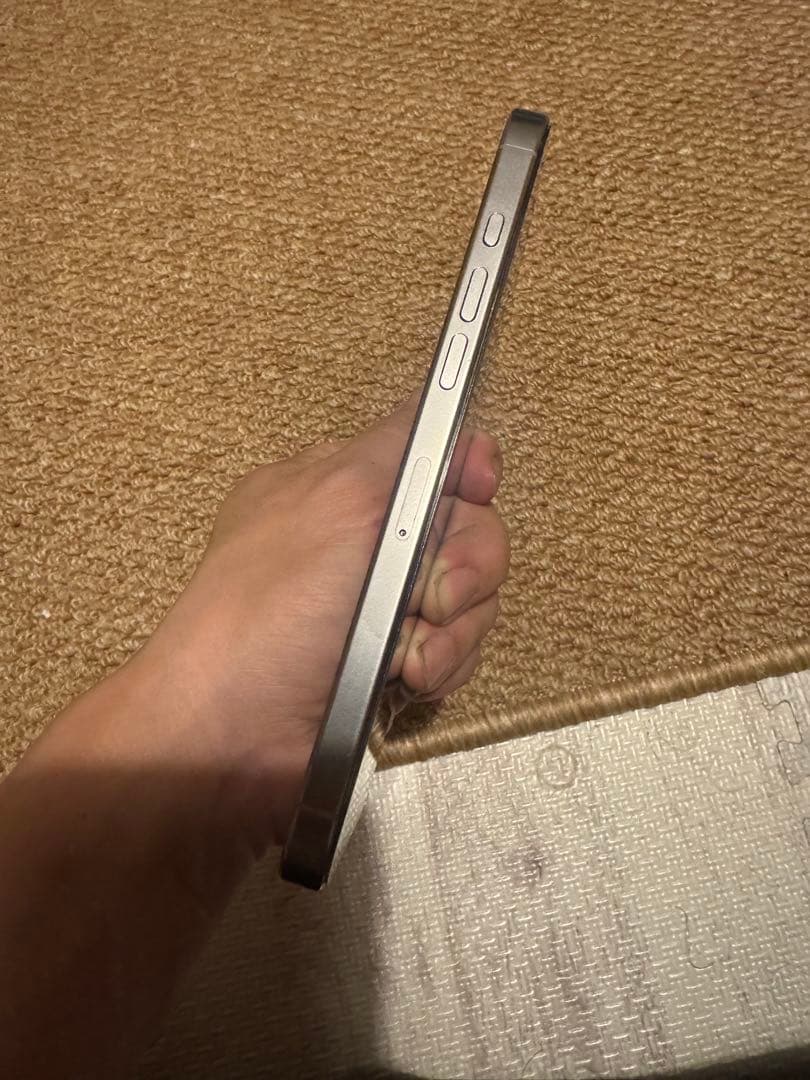 海外版 iPhone 16 Pro Max 1TB，美品，バッテリー100％