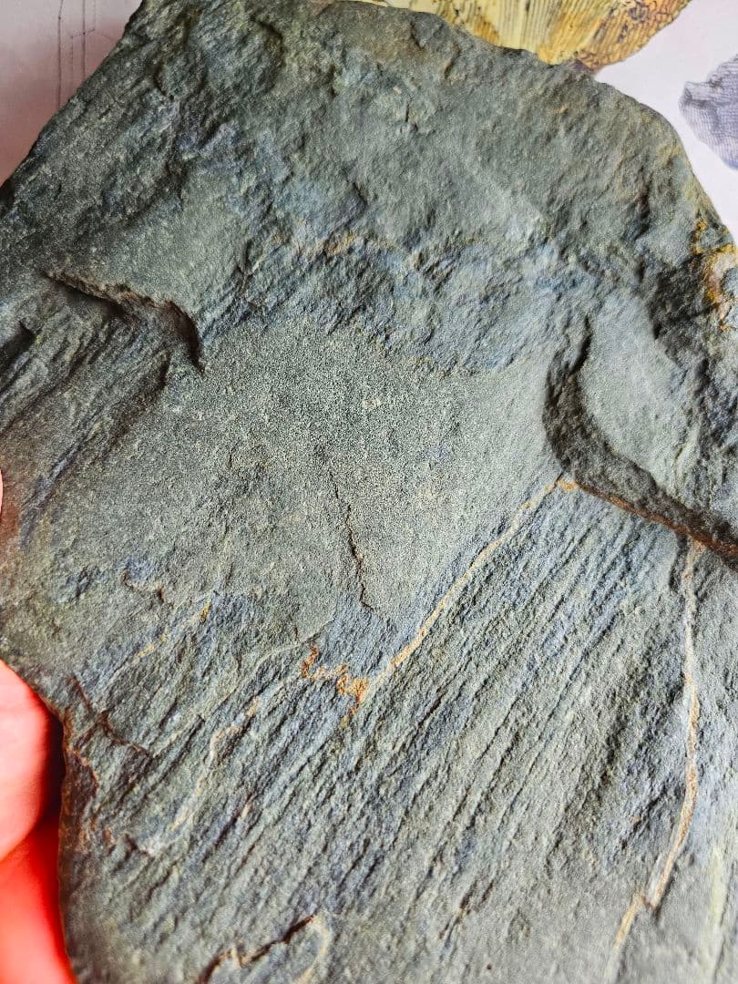 約3㎏以上あり‼️高波動‼️出雲の青石 原石