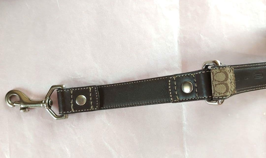 【新春セール！激レア!】COACH 大型犬用カラー&リード セット 未使用品