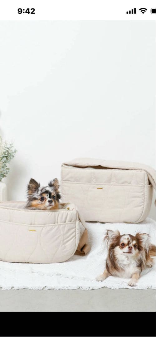 ★期間限定お値下げ★ モンシェリ　スリングバッグ