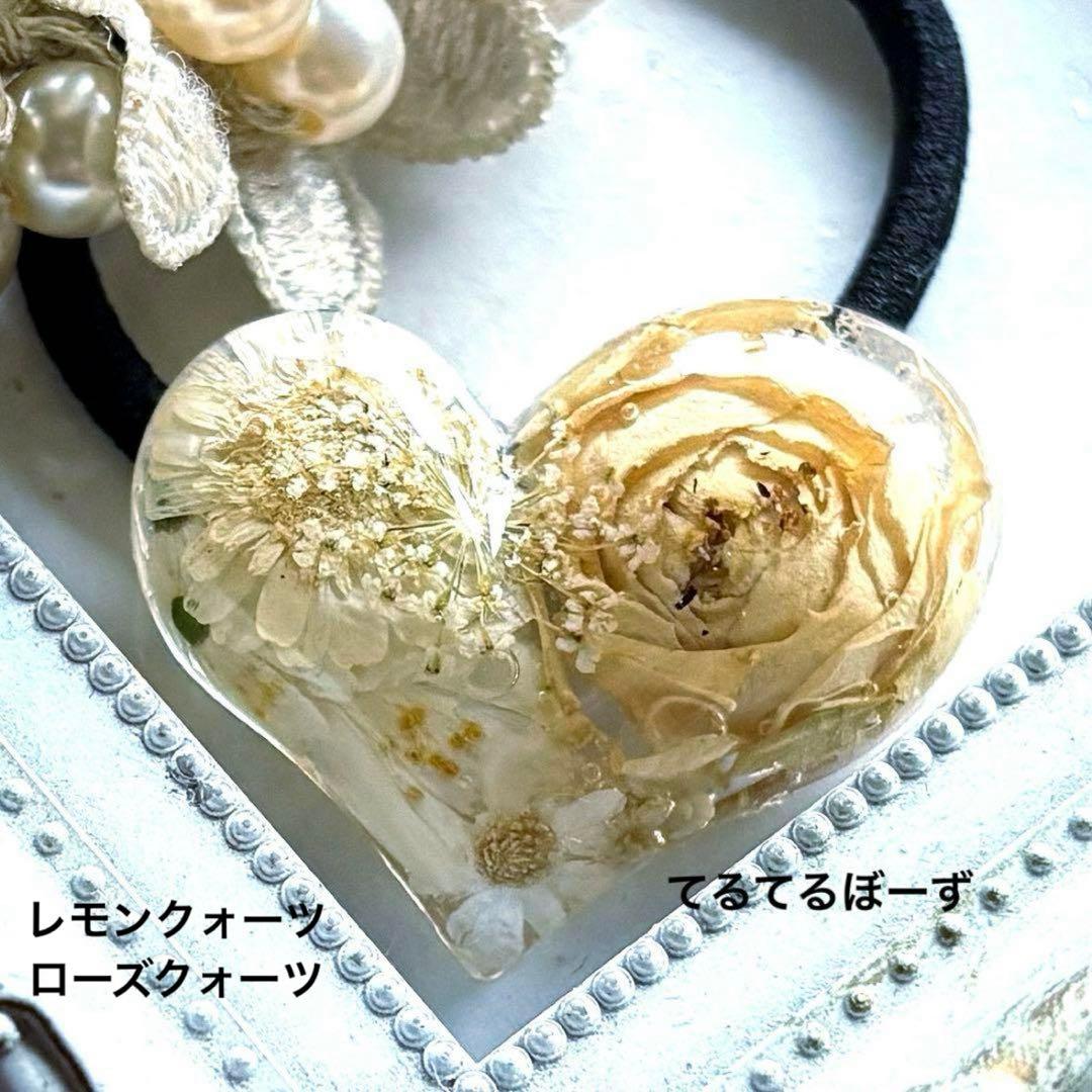 ももちです