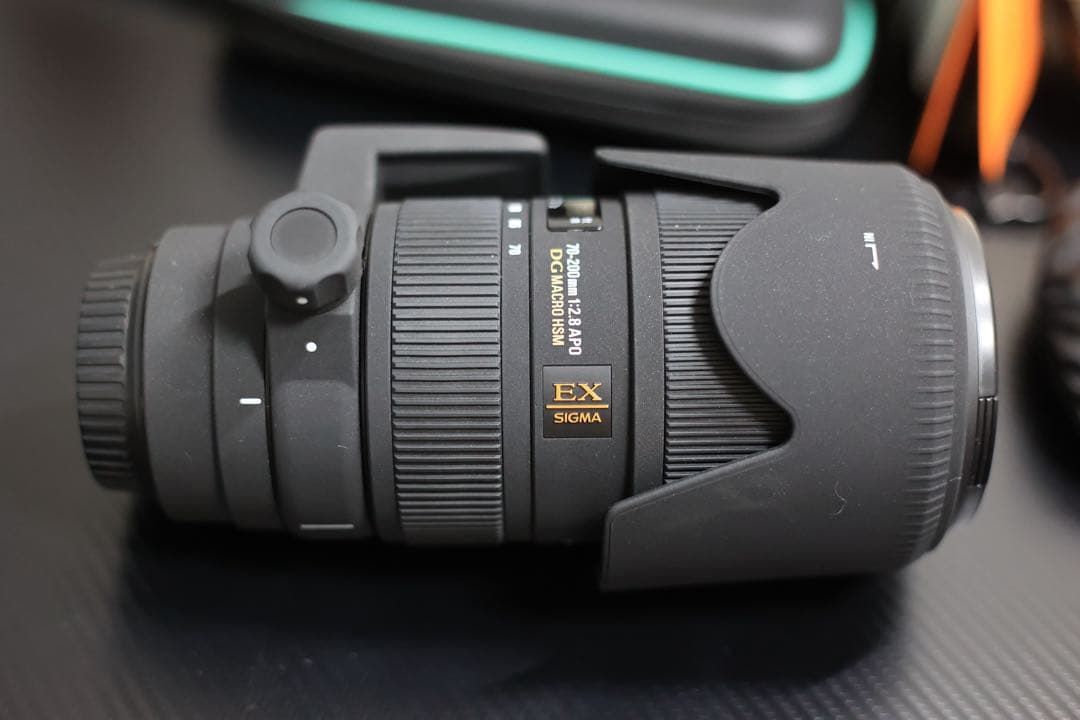 シグマ SIGMA EX 70-200mm F2.8 CANON