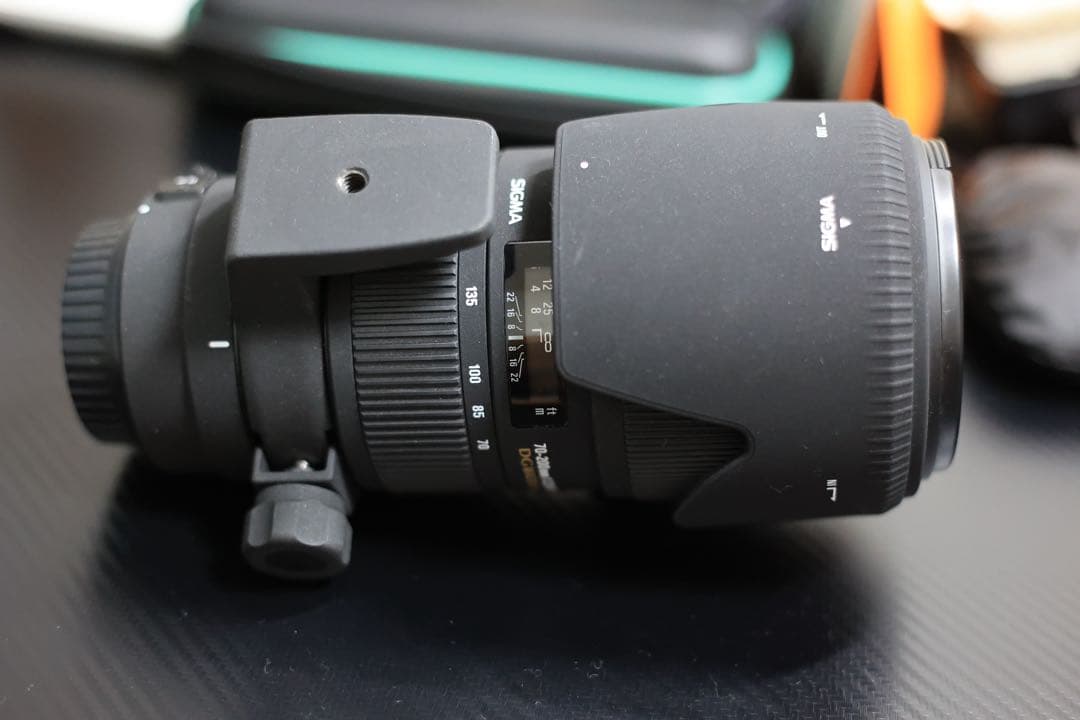 シグマ SIGMA EX 70-200mm F2.8 CANON