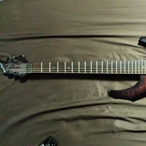 グラスルーツのギター