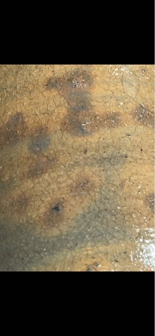 内村慎太郎　斗々屋湯呑