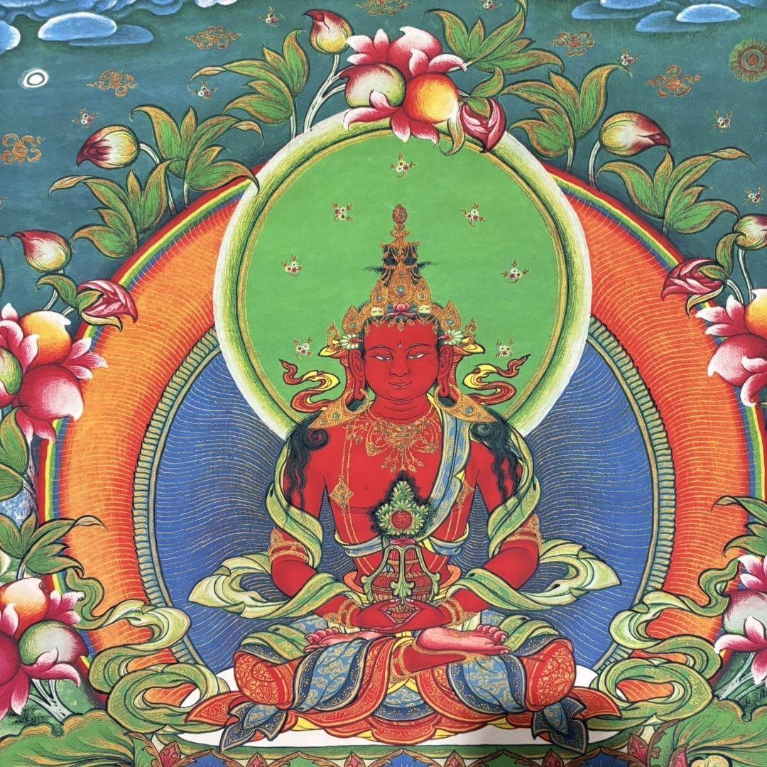 【本日限定】販売 花梨木 彩貝インレイ ジュエリーボックス／パールネックレス付き