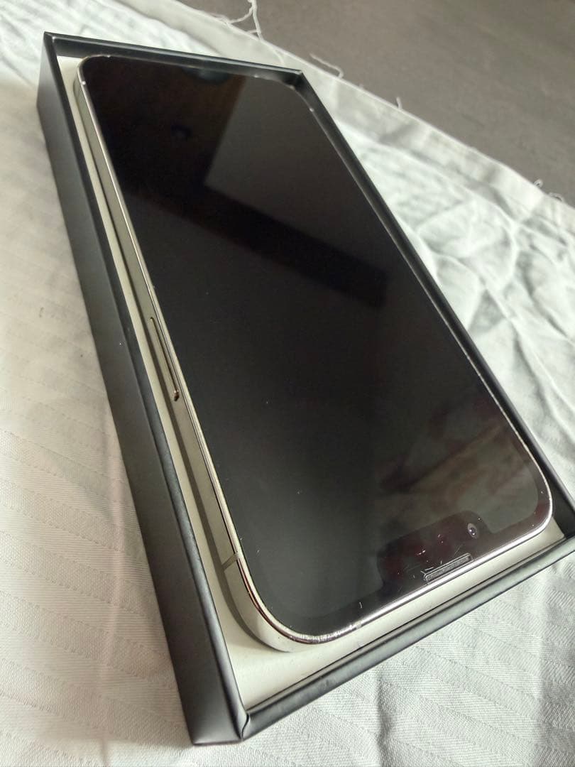 Apple iPhone 13 Pro シルバー 本体 512GB